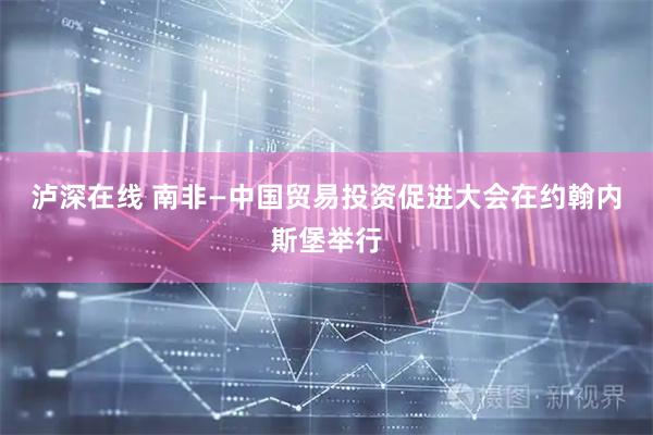 泸深在线 南非—中国贸易投资促进大会在约翰内斯堡举行