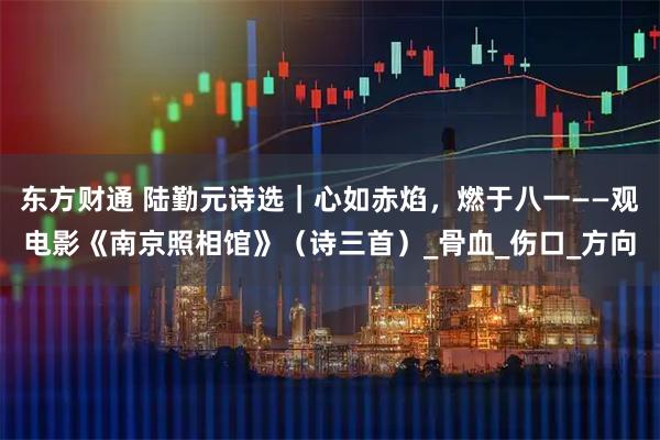 东方财通 陆勤元诗选｜心如赤焰，燃于八一——观电影《南京照相馆》（诗三首）_骨血_伤口_方向