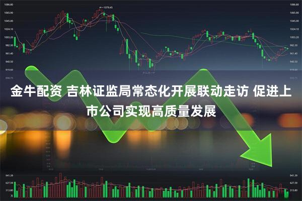 金牛配资 吉林证监局常态化开展联动走访 促进上市公司实现高质量发展