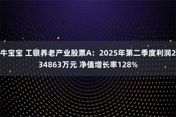 牛宝宝 工银养老产业股票A：2025年第二季度利润234863万元 净值增长率128%