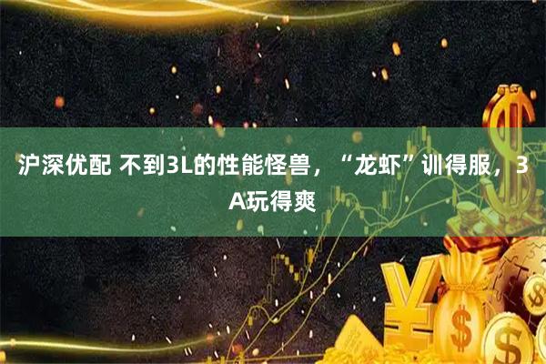 沪深优配 不到3L的性能怪兽，“龙虾”训得服，3A玩得爽