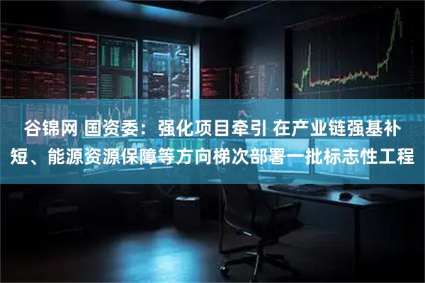 谷锦网 国资委:强化项目牵引 在产业链强基补短、能源资源保障等方向梯次部署一批标志性工程