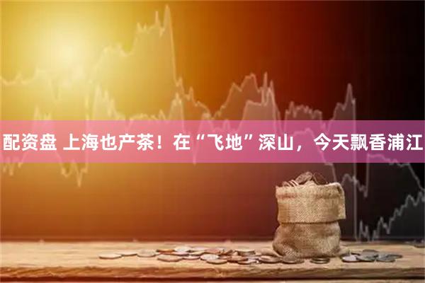 配资盘 上海也产茶!在“飞地”深山,今天飘香浦江