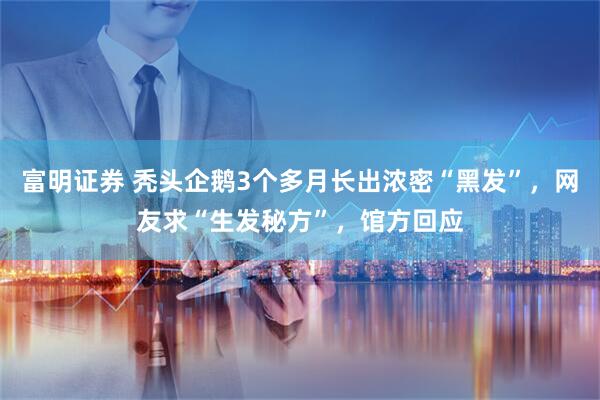 富明证券 秃头企鹅3个多月长出浓密“黑发”，网友求“生发秘方”，馆方回应